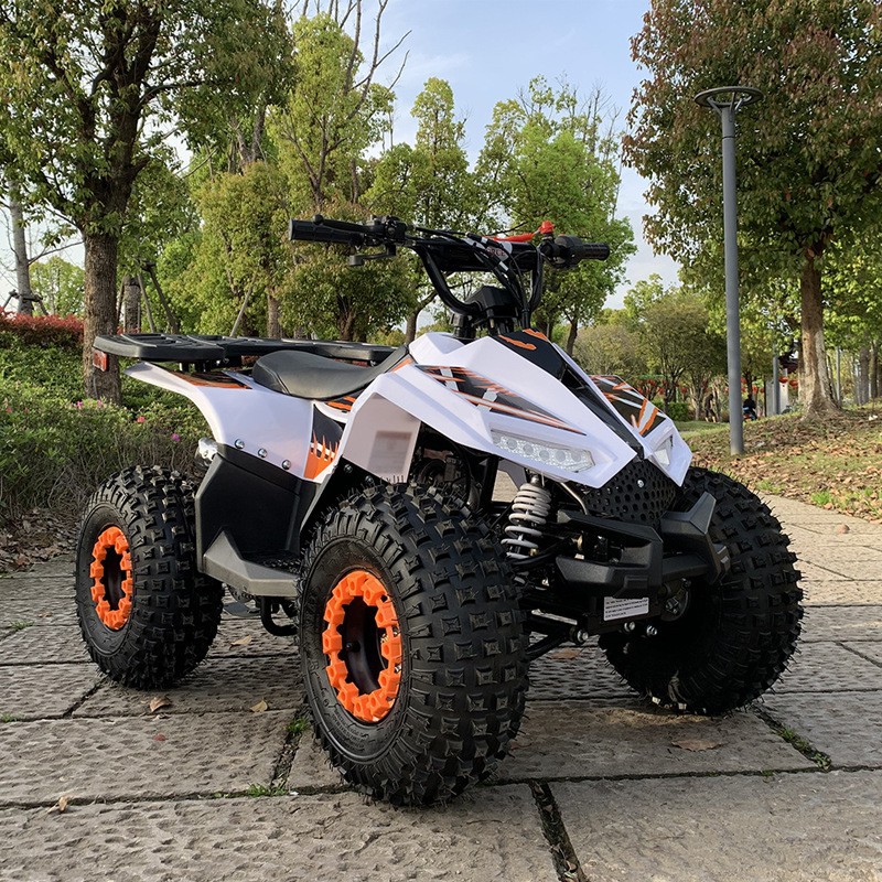 ATV de 125 CC, Vehículo Todote - Outdoor Adventure Quad Biking reseña y precio