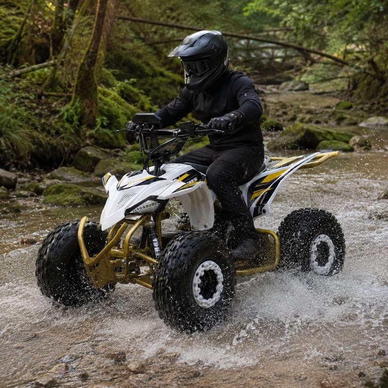 Buggy para Adultos Personaliza - Outdoor Adventure Quad Biking reseña y precio