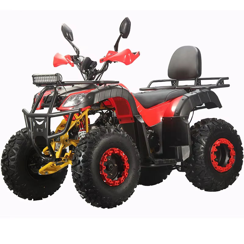 Buggy para Adultos Personaliza - Outdoor Adventure Quad Biking reseña y precio
